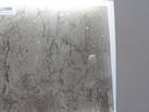 Ʒ - GLOBE STONE